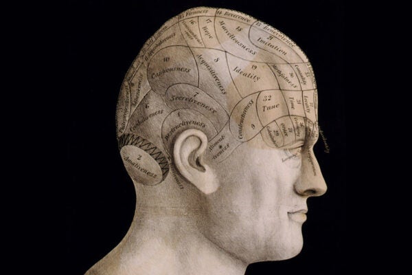 Dr Spurzheim phrenology chart