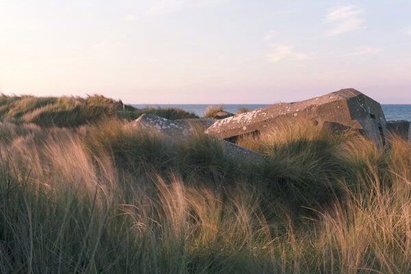 A former German defense bunker lies in Marram Grass along a stretch of coastline that was known as 'Utah Beach' during the June 6, 1944 D-Day Beach landings on April 30, 2019 in Audouville-la-Hubert, on the Normandy coast